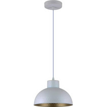 Ravenna Zafar 042961