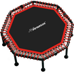 Pegasus Τραμπολίνο Γυμναστικής 122cm B4503