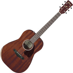 Ibanez Junior Dreadnought Open Pore Natural