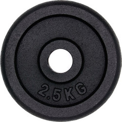 Αθλοπαιδιά Δίσκος Μεταλλικός 2.5kg Φ29mm