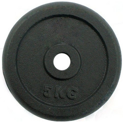 Perk Sports Δίσκος Μεταλλικός 5kg Φ28mm