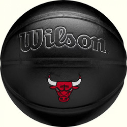 Wilson NBA Team Premiere Chicago Bulls WZ4026405XB