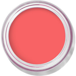 Bobbi Brown Pot Rouge Velvet Matte Apricot Rush Cream Blush 8.5gr