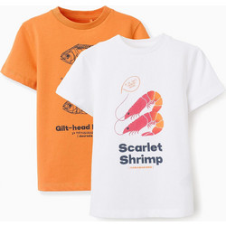 Zippy Παιδικό T-Shirt Κοντομάνικο Λευκό Πορτοκαλί 31071125041