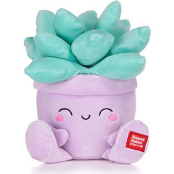 Posh Paws Kawaii Kuties Γλάστρα με Παχύφυτο 20cm