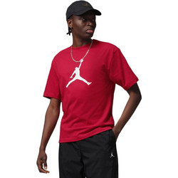 Jordan Ανδρικό Αθλητικό T-Shirt Κόκκινο IR0340-687