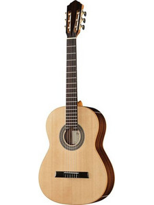 Hofner HF17-L