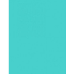 Canson Colorline Χαρτόνι Κανσόν Τιρκουάζ 50x70cm 105741025