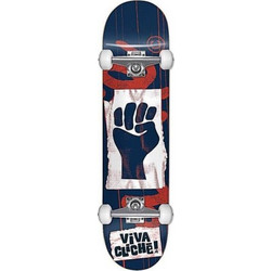 Cliche Viva 8.25''