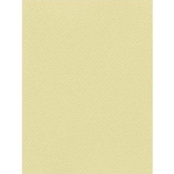 Favini Χαρτόνι Κανσόν Μπεζ 50x70cm 831.5070.04Τ