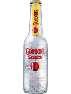 Gordon's Space Gin 275ml