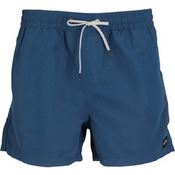 Hurley Volley 15'' Ανδρικό Μαγιό Σορτς Navy Μπλε MBEU00022-424