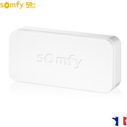 Somfy 2401487