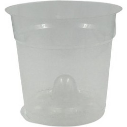 ΔΙΑΦΑΝΗ ΓΛΑΣΤΡΑ ΟΡΧΙΔΕΑΣ (15 cm)