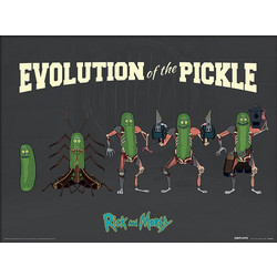 Rick and Morty (Evolution Of The Pickle) Wooden Framed 30 x 40cm Print - FP12282P