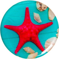 Starfish On Deck
