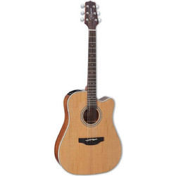 Takamine GD20CE Natural Satin