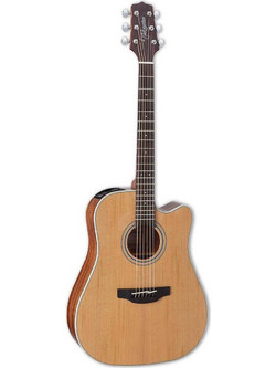 Takamine GD20CE Natural Satin