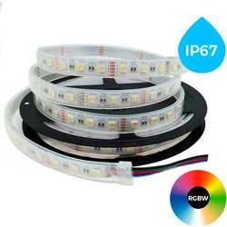 12V RGBW LED Strip 5050 - 60 Led/M (Warm White )