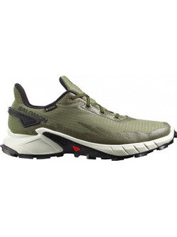 Salomon Alphacross 4 GTX Ανδρικά Αθλητικά Παπούτσια Trail Running Χακί L417230