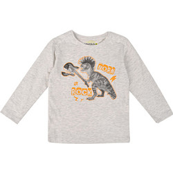 Losan Παιδικό T-Shirt Μακρυμάνικο Γκρι 225-1205AL-657