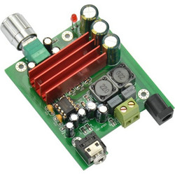 TPA3116 Single Channel Power/Subwoofer Amplifier 100W