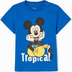 ZIPPY ΜΠΛΟΥΖΑ TROPICAL MICKEY ΡΟΥΑ 6Μ-36Μ