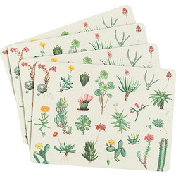 Σετ 4 Σουπλά BOTANICAL Cacti by Kokonote