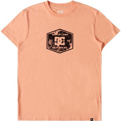 DC Chain Link TSS Papaya Punch Σύμμικτο Regular Ανδρικά