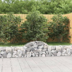 vidaXL Συρματοκιβώτια Τοξωτά 20 τεμ. 200x30x40/60 εκ. Γαλβαν. Ατσάλι 3146062