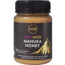 Holland & Barrett Μέλι Manuka Holland & Barrett Μέλι Manuka MGO 500+ 350g