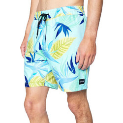 Hurley Bird Rock Volley Short 17 CZ5964