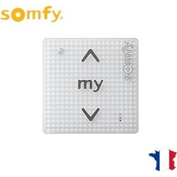 Ασύρματος διακόπτης αφής Somfy 1 Rts Pure Shine 2401102