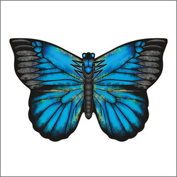 X-Kites ButterFly Χαρταετός Υφασμάτινος Ready to Fly - Blue Morpho κωδικός 80525