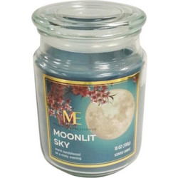 Κερί σε Βάζο Moonlit Sky 9x14cm - Plastona