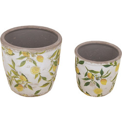 Artekko Lemon Κασπώ Λευκό 16x16x15.5cm 2τμχ 2PCS