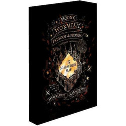 Pyramid Harry Potter Marauders Map - Light Canvas 40X30 Cm