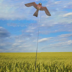 Απωθητικό Ομοίωμα Αετού 1,40m X 85cm Με Κοντάρι 6m