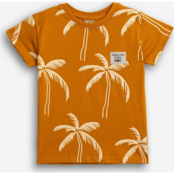 Funky ΜΠΛΟΎΖΑ BEBE ΑΓΌΡΙ 126-305123-1