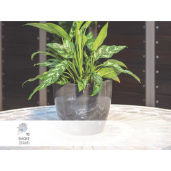 Κασπώ στρογγυλό Linea Natura No 860.5-93 Φ20x17cm Smoke