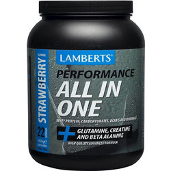 Lamberts Performance All In One Chocolate Πρωτεΐνη Ορού Γάλακτος 1.45kg