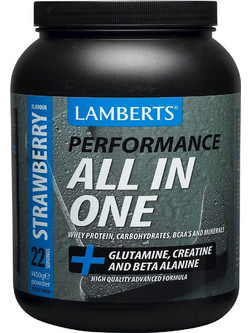 Lamberts Performance All In One Chocolate Πρωτεΐνη Ορού Γάλακτος 1.45kg