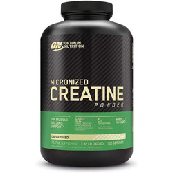 Optimum Nutrition Micronized Creatine 634gr