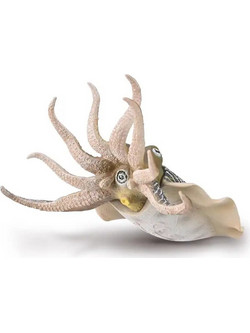 Collecta Κοινή Σουπιά 80009