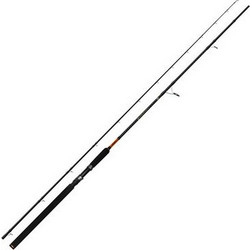 Pregio Passion Medium Shore Καλάμι Ψαρέματος για Spinning / Jigging / Tai Rubber Carbon Δίσπαστο 2.9m 35-70gr