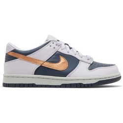 Nike Παιδικά Sneakers Λευκά Navy Μπλε Μπρονζέ DX1663-400