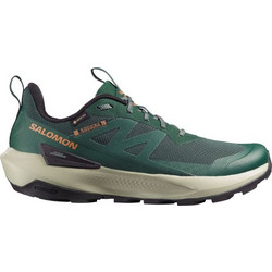 Salomon Elixir Activ Ανδρικά Αθλητικά Παπούτσια Trail Running Κυπαρισσί L49229800