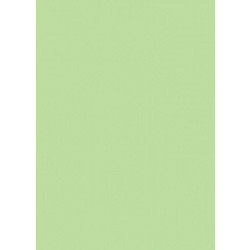 Canson Colorline Χαρτόνι Κανσόν Πράσινο 50x70cm 105741027