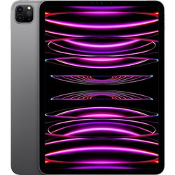 Sunshine SS-057R Frosted Hydrogel (iPad Pro 11" 2022)