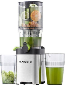 Amzchef CE-ZM1902B-SV Αποχυμωτής Αργής Σύνθλιψης 200W 700ml